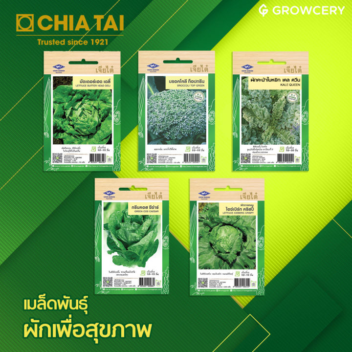 เจียไต๋ เมล็ดผัก Home Garden ผักเคล บรอคโคลี