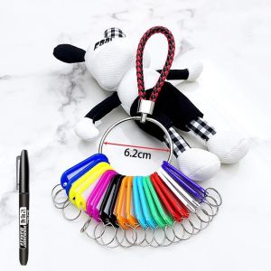 【Good Quality】Key Organizer Management with Lanyard Key Ring and Colorful Key Tags for Office Hotel Apartments