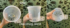 Chậu Nhựa Trong 16X18 (Cm) Thakico !
