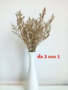 แคสเปียร์ ช่อเล็ก 5 กรัม ดอกไม้แห้ง ดอกไม้ DIY ตกแต่ง พร้อพถ่ายรูป จัดแจกัน ของแต่งบ้าน