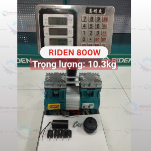 Đầu máy hơi motor đồng không dầu 800W 1hp 1450 vòng/phút hiệu RIDEN RD800HD