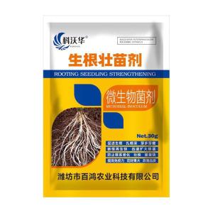 ยาเร่งรากและส่วนเสริมการเจริญเติบโตของพืชที่เน้นใช้สำหรับผัก อาหารเสริมรากและส่วนเสริมการเจริญเติบโตของพืชสำหรับผัก