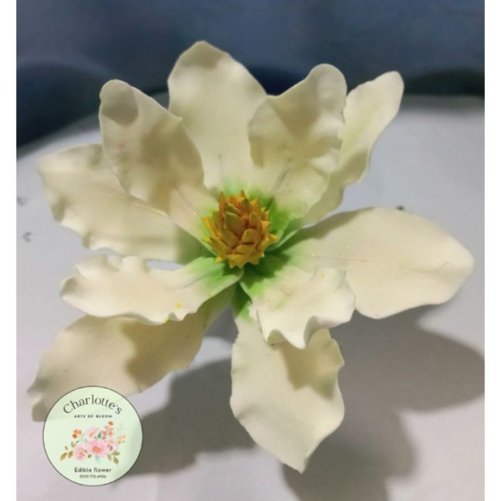 （HH birthday) Magnolia Edible Flower cake topper (PRE-ORDER) | Lazada ...