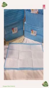 Pee Wee Pad training littering charcoal urine pad dog cat rabbit chinchilla human underpad