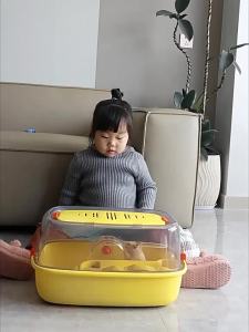 [Bồ công anh] chinchilla lồng chuột đồng mờ đi du lịch mang theo trường hợp dung tích lớn môi trường sống hamster thở túi đựng động vật nhỏ với nước