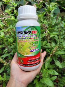 [Freeship Max] Phân bón lá CỨNG NHƯ TRE chuyên dùng lúa nếp mập cọng ngắn lóng cứng cây tuột lá ủ chống đổ ngã chai 500ml_VTNN TIEN KHOA