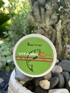 Combo Vitamin C++ Super Protect và Khoáng&Vitamin Super Protect dành cho cá.