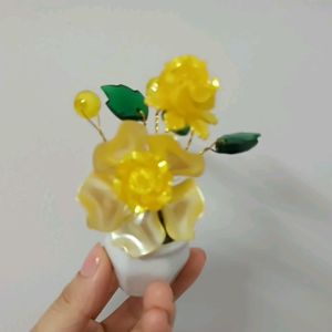 Chậu bông hoa mai nhí để bàn xinh yêu thu hút tài lộc may mắn