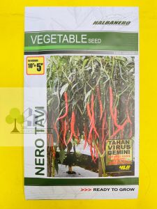 Benih cabai / cabe keriting NERO TAVI Tahan Virus Gemini dari HALBANERO. Isi 10gram MANTAB