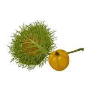 WILD PASSION FRUIT SEEDS