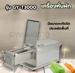 เครื่องหั่นผัก รุ่น GY-T3000