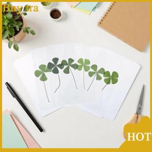 [Buytra] โปสการ์ดรูปใบโคลเวอร์นำโชค1 5 10ชิ้นการ์ดอวยพรโปร่งใสหญ้าธรรมชาติสำหรับบุ๊กมาร์ก