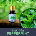 Tinh dầu bạc hà Peppermint. 
