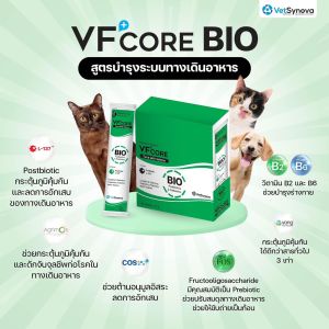 ขนมแมวเลีย VFcore ไลซีน บำรุงเลือด บำรุงข้อต่อ วิตามินรวม บำรุงไต Bio Fibre 30ซอง/กล่อง