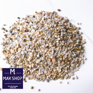 1kg Sỏi Muối Tiêu Viên Vừa Trang Trí Hồ Cá Cảnh Hồ Thủy Sinh Mang Thiên Nhiên Lại Gần Nhau Hơn