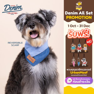 ผ้าพันคอเดนิมใส่ได้สองด้าน Denim Collection ลายทาง (เฉพาะผ้าพันคอ) | CLAWSET.BKK