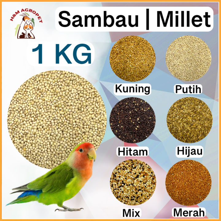 900G Makanan Burung Baji Bird Food White Millet Seed Sekoi Sambau putih