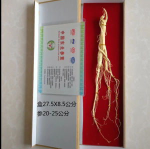 โสมภูเขา กล่องของขวัญโสมภูเขา โสมฉางไป๋ ของขวัญปีใหม่ โสมภูเขาป่า อายุ 10-12 ปี รหัส F-006