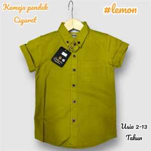 Kemeja anakusia 1-12 thnkemeja distro anakkurta anak laki lakikoko anak anakbaju kemeja anakpakaian anak laki laki