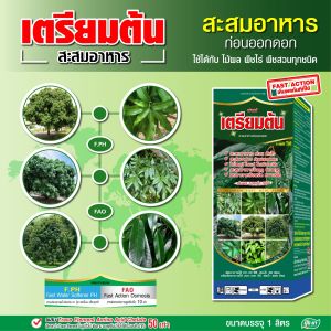 เตรียมต้น สะสมอาหาร เร่งใบแก่ ใบเขียวเข้ม ใบหนา ต้นโตไว ต้นพร้อมออกดอก ฮอร์โมนพืช ปุ๋ยยา 1 ลิตร