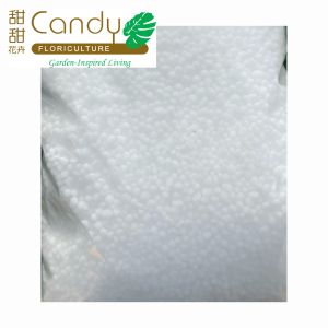 (SG Seller) Calcium Nitrate NPK 15.5-0-0 (Usagi) 1kg 硝酸钙肥料