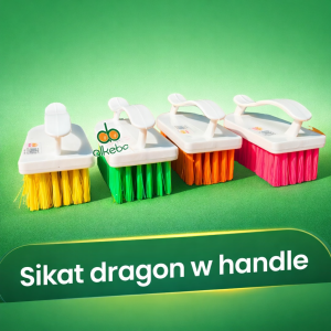 Sikat Lantai Dragon Dengan Gagang Plastik - Sikat Tangan Multifungsi