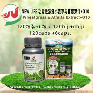 NEW LIFE 功能性浓缩食品小麦草与苜宿芽汁+Q10 银色罐装 小麦草 苜蓿芽 便秘 降血压 降血糖 平衡血糖 尿酸 排毒养颜 清血排毒 提防假冒全新包装 注意‼️全新包装特点 国家药品管理局MAL认证的 Farmatag 防伪标签 吃得安心,用得放心,效果保证, 一定要选正宗的New Life浓缩小麦草与苜蓿芽