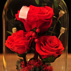 Seangel Newest Wedding Beauty And The Beast Red Rose In Flask Glass Dome For Valentines Day gift Womens Festival Home Table Decoration Eternal Flowers Couple gifts