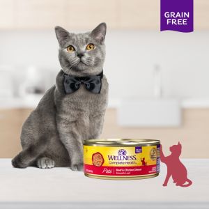 [Carton Deals] Wellness Complete Health Pate Grain-Free Wet Cat Canned Food (5.5oz | 156g x 24 Cans)