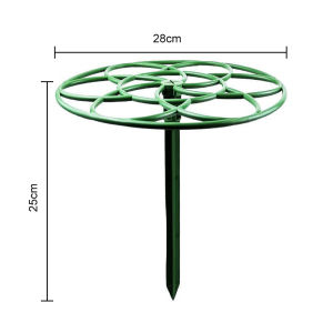 Sunflower shape stand lollipop flower stand crab claw orchid grafted leaf fairy pothos single multi-layer support climbing vine stand
