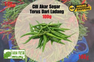 Cili Akar Hijau Besar (Cabe Cabai) Premium - Segar dari Ladang 100g