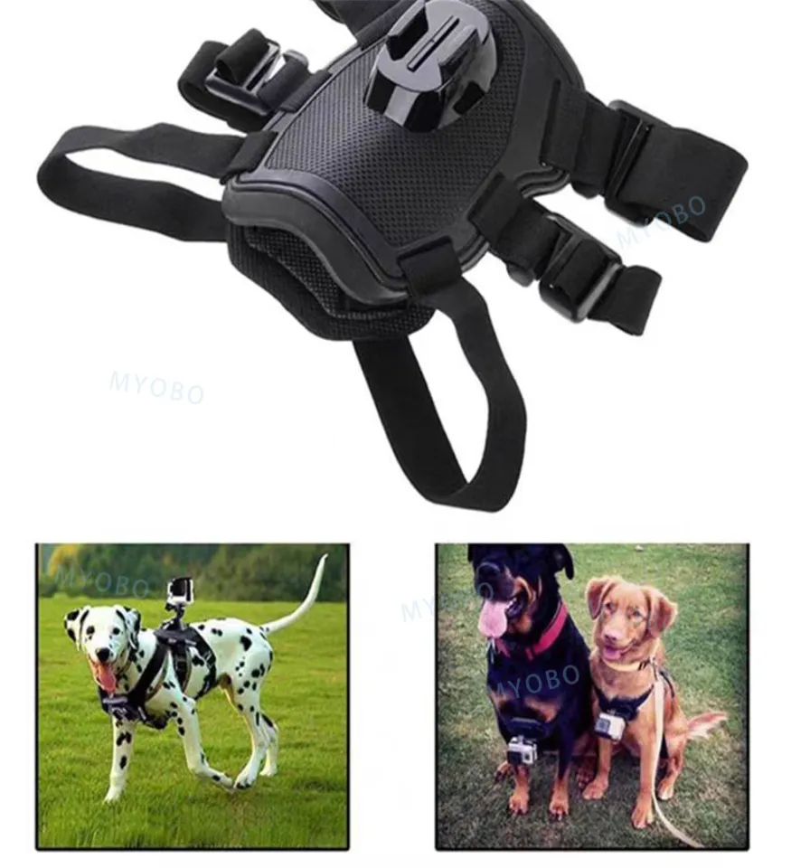 20240924 Dog Camera Harness Mount for SJCAM Gopro Hero 12 11 10
