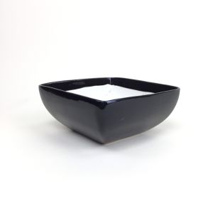 6ในความละเอียด กระถางแคคตัส ถูกสร้างขึ้นมากกกระถางต้นไม้ขนาดเล็ก 6 นิ้ว สำหรับการกระถางจัดสวนถาด