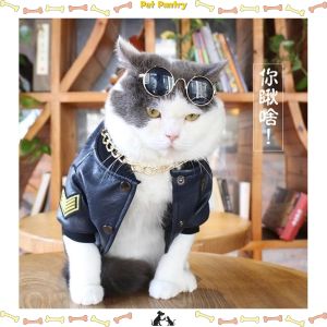 Pet Pantry Cat helemt Small Pet Motorcycle Helmet Cat Dog Puppy Mini HelmetsFull Face Motorcycle Helmet Outdoor Protecting Pet Hard Hat
