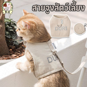 【Option World】สายจูงแมว-หมาเล็ก รัดอกนุ่ม ปลอดภัย ปรับยาวได้ 1.5M สำหรับแมวทุกสายพันธุ์-สุนัขพันธุ์เล็ก เดินสบายไม่เจ็บ แข็งแรงทนทาน
