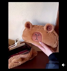 Capybara Plush Pencil Case Large Capacity Pen Organiser Pouches Portable Makeup Storage Bag For School Office Supplies