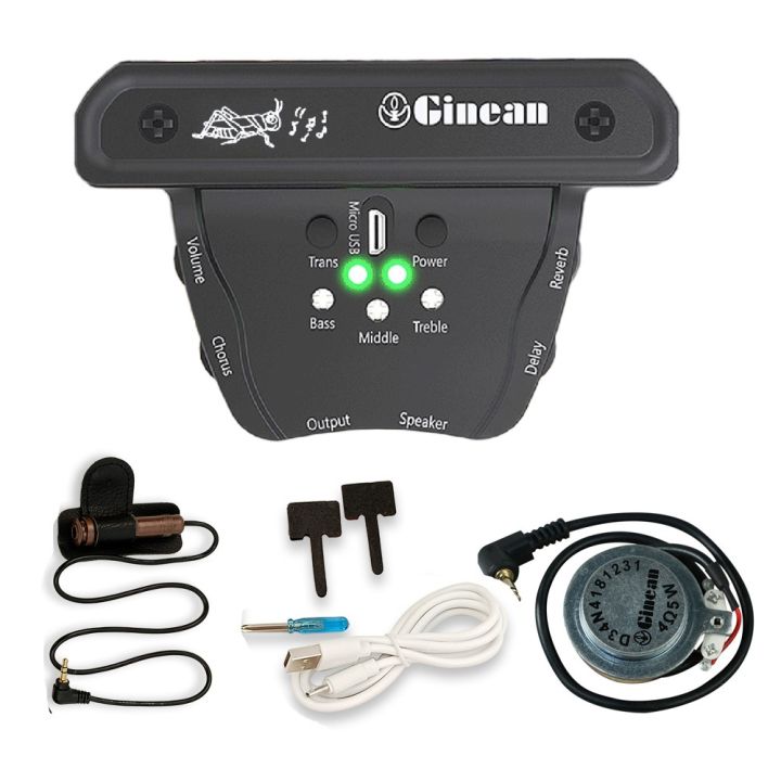 Ginean JSAPE301 Acoustic Guitar Pickup Soundhole Pickups