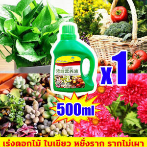(สินค้าตีวันผลิต)สารละลายธาตุอาหารเข้มข้น บำรุงพืชทุกชนิด บำรุงราก บำรุงต้น บำรุงใบ เร่งดอก500ml. สูตรรวมเร่งราก แก้ใบเหลือง ปรับสภาพดิ