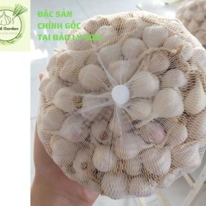 TỎI ÍT TÉP LÝ SƠN SUNI GARDEN BỊCH LƯỚI 1 KG - ĐẶC SẢN LÝ SƠN CHÍNH GỐC