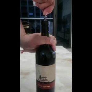 Bottle Opener Keychain Portable Red Wine Corkscrew Zinc Alloy Beer Opener Multifunctional Pocket Gadget