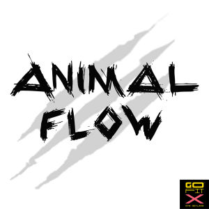 [GoFit Gym Geylang] Animal Flow Group Class Advanced Flow Certified Trainer.