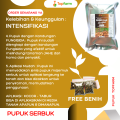 Pupuk Khusus Tanaman Jahe / Pupuk Pembesar Umbi Jahe / Pupuk Untuk Tanaman Jahe / Pupuk Jahe Umbi Besar / Pupuk Jahe Merah / Pupuk Penyubur Tanaman Jahe. 