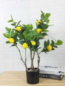 Wolf.id PBP171 Tanaman Hias Pohon Lemon Artificial Tree Ornamen Hiasan Sudut Ruangan Rumah BISA COD