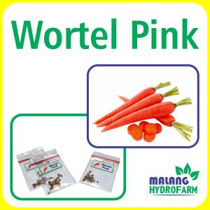 Benih Wortel Pink Unggulan Berkualitas biji bibit repack carrot merah muda hydroponik hidroponik sayuran sayur pot