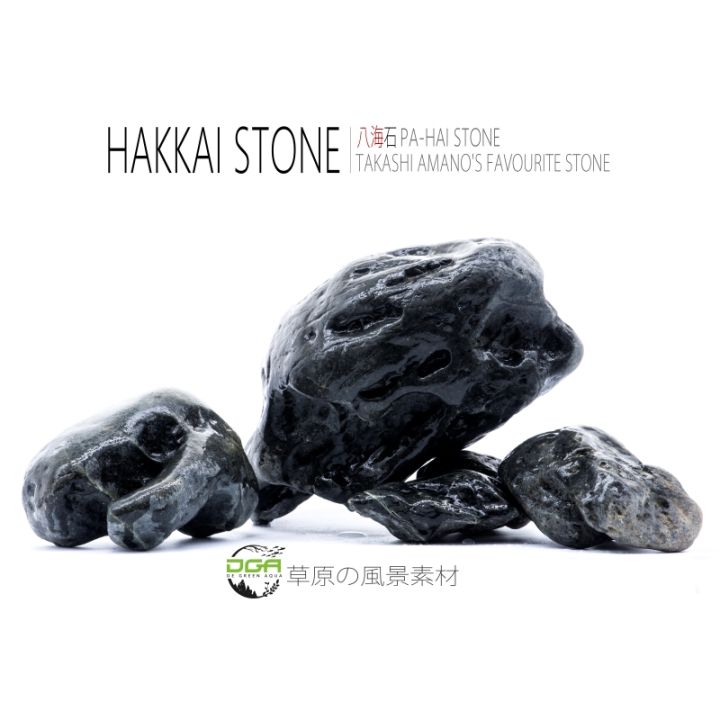 Aquascape JAPAN Hakkai Stone Amano stone(水草造景八海石） - Lazada