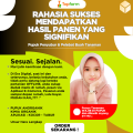 Pupuk Khusus Tanaman Jahe / Pupuk Pembesar Umbi Jahe / Pupuk Untuk Tanaman Jahe / Pupuk Jahe Umbi Besar / Pupuk Jahe Merah / Pupuk Penyubur Tanaman Jahe. 