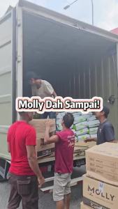 POODEE S Molly Cat Food 2kg Molly Kitten Food Cat Dry Food Cat Kibbles Cat Premium Cat Food Makanan Kucing Molly 猫粮