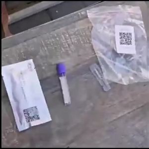 1 cái/5 cái/10 cáiChó Chó sớm thuận tiện nhanh chóng và chính xác nhanh chóng relaxin mang thai thử nghiệm mang thai Kit Nguồn cung cấp