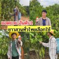 กอร์ดอน ออร์แกนิค ตร้าก้าวทวี สมุนไพรกำจัดศัตรูพืช เป็นออร์แกนิคไม่มีสารเคมี ไม่มีสารตกค้าง. 