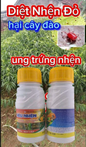 Diệt nhện đỏ gây hại cây đào gây ung trứng không nóng nước sữa mát cây mát bông